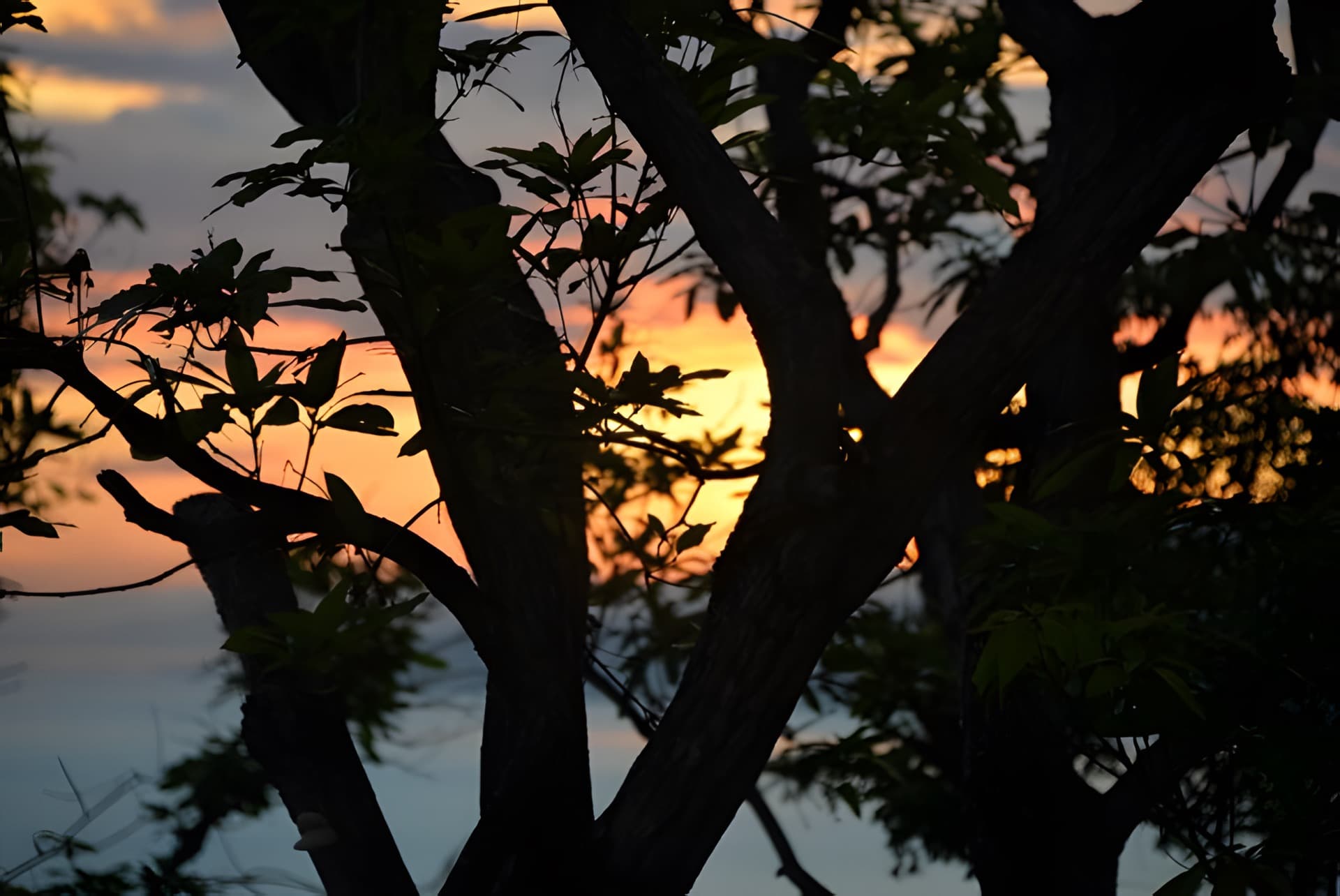 Sunset Haiti