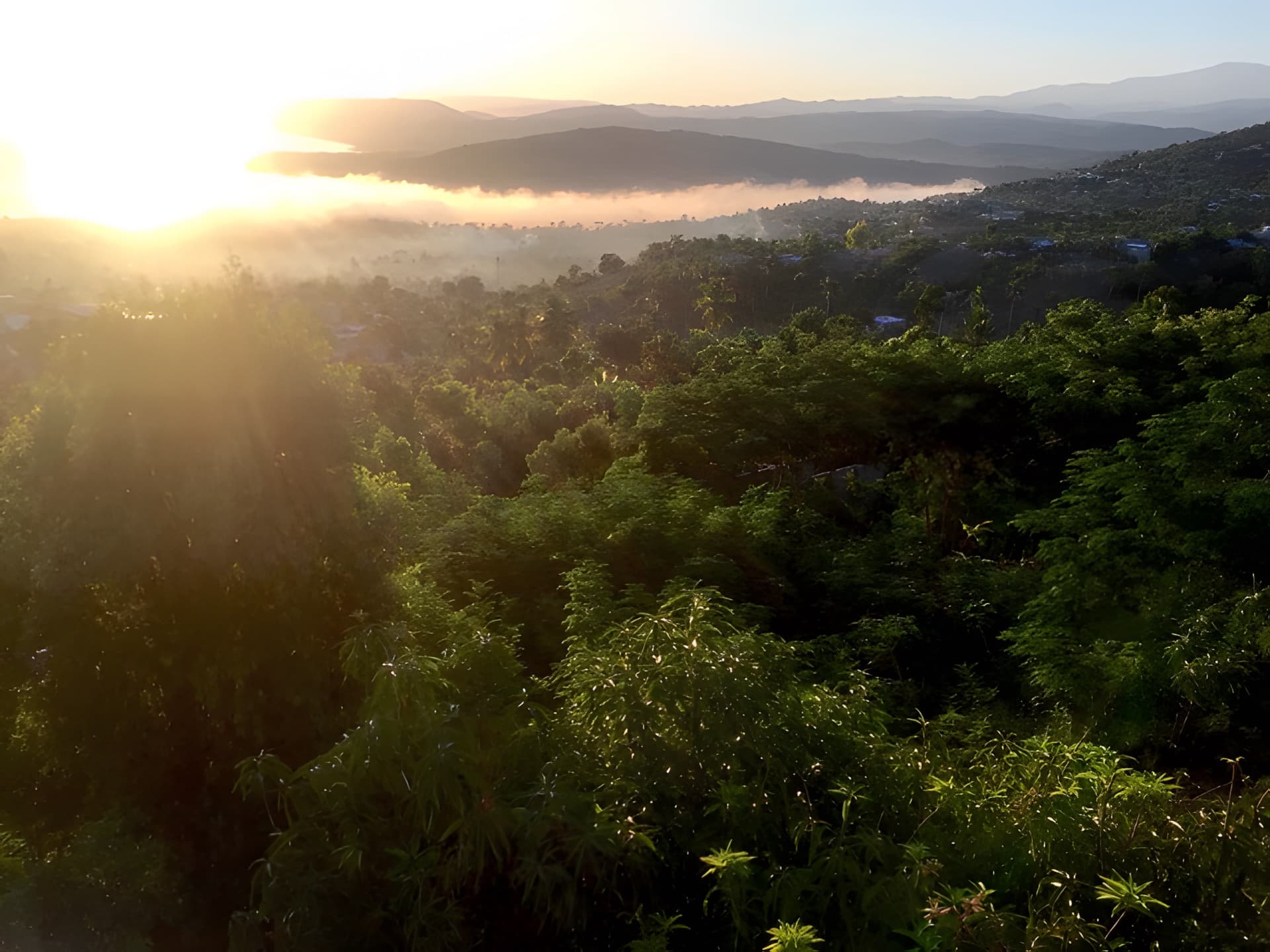 Sunrise Rolling Hills Jeremie